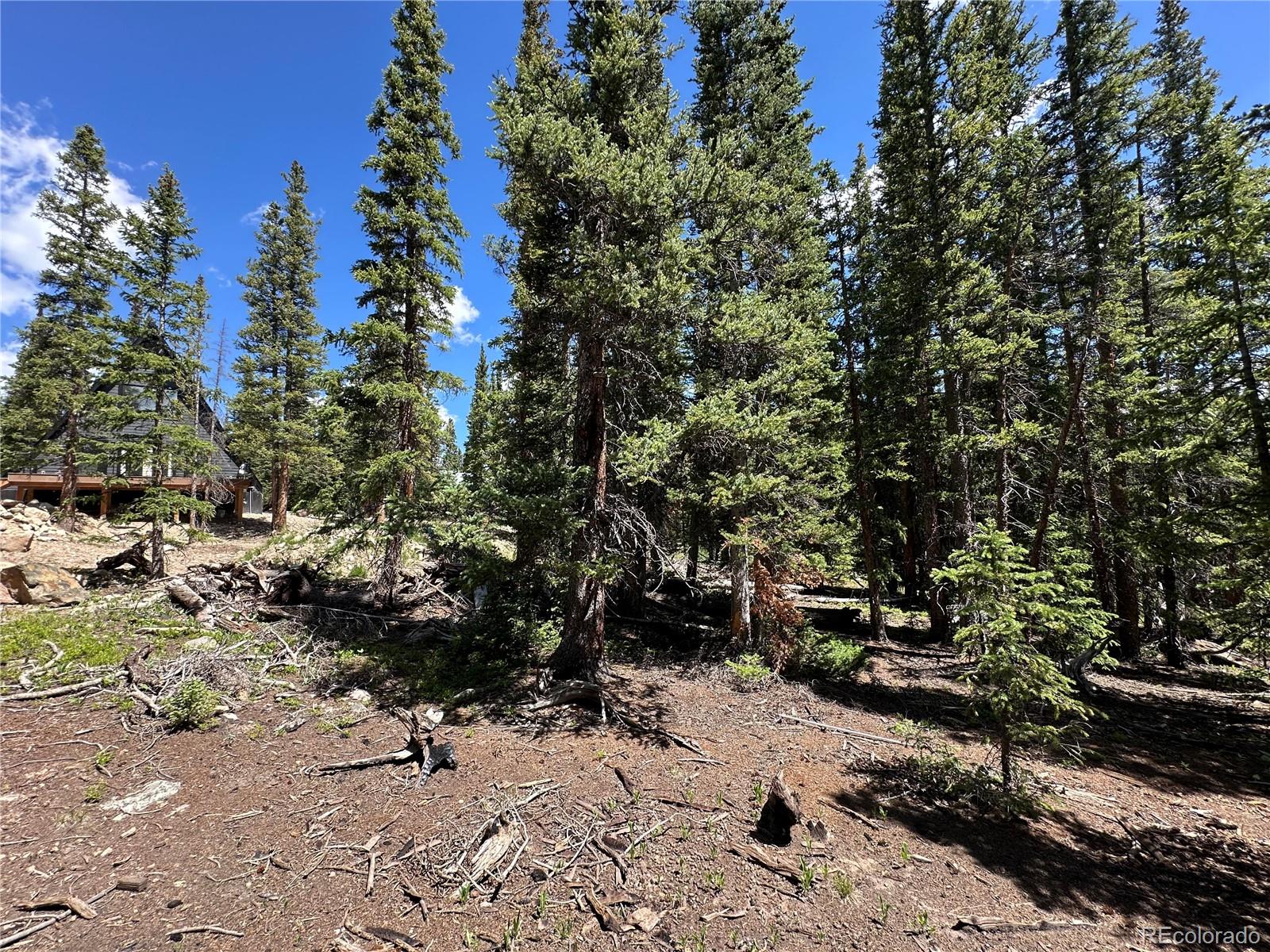 MLS Image #37 for 80  valley of the sun drive,fairplay, Colorado