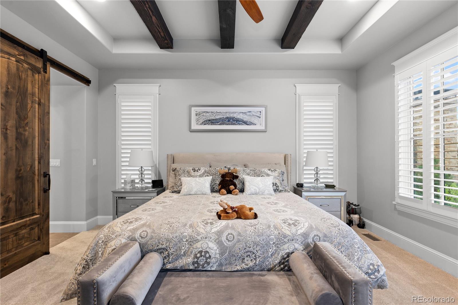 MLS Image #23 for 8326  raphael lane,littleton, Colorado