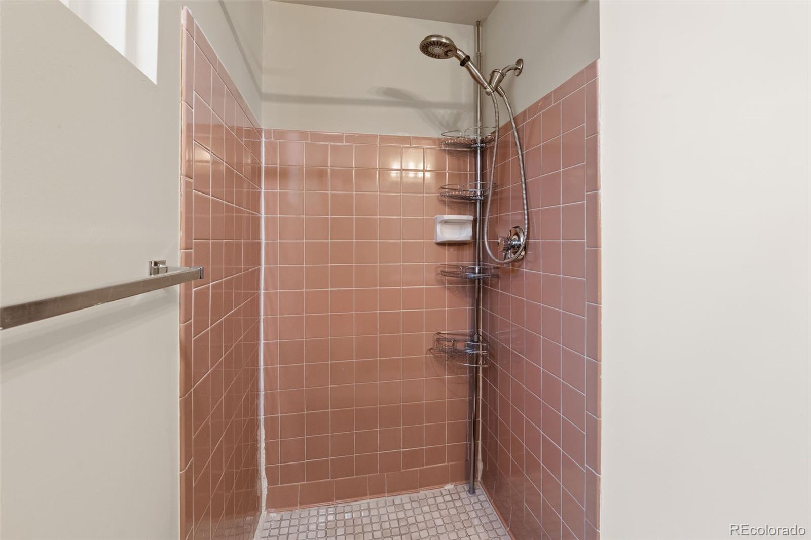 MLS Image #33 for 2672 s magnolia street,denver, Colorado