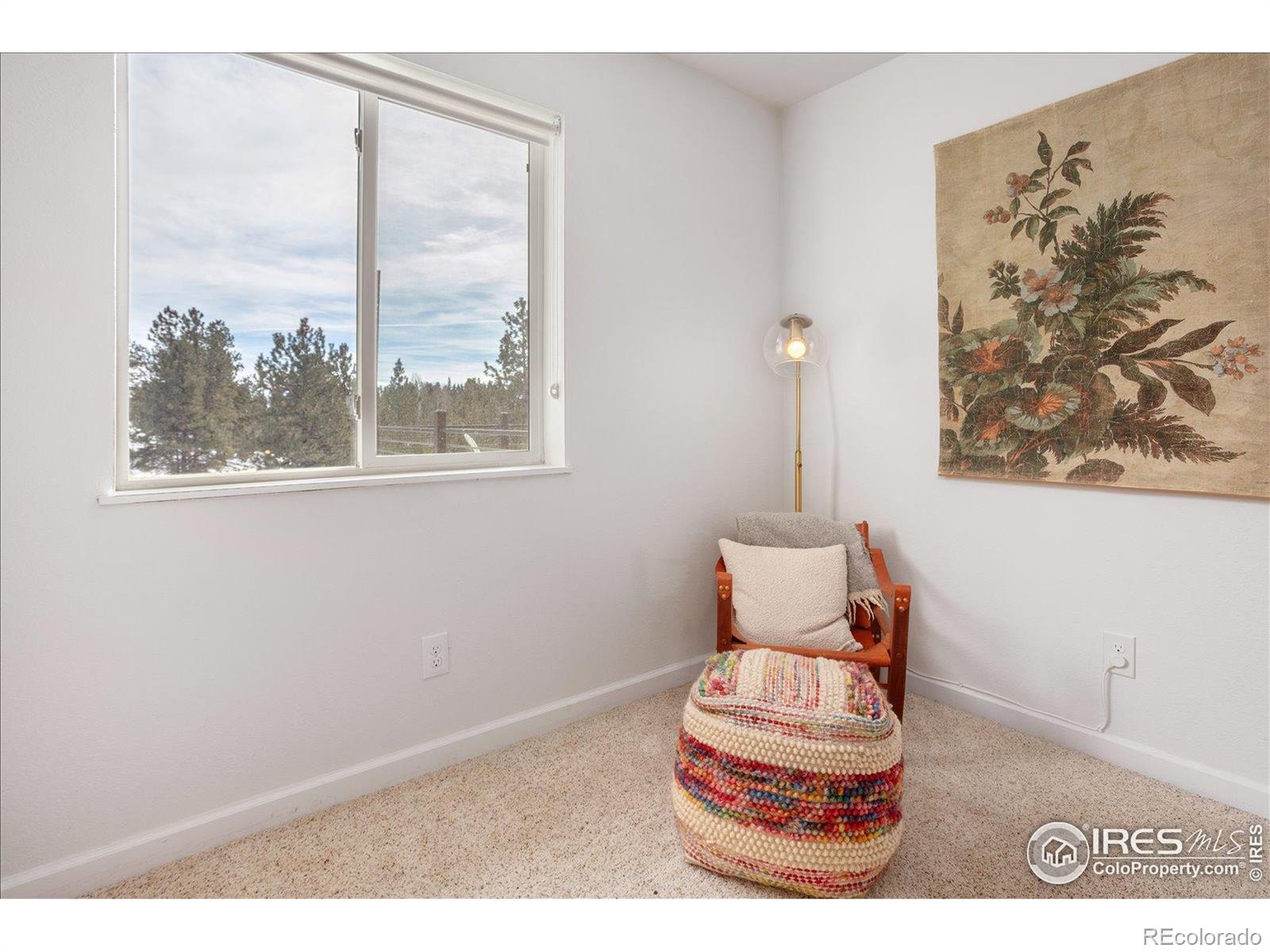 MLS Image #21 for 3367  badger creek road,hartsel, Colorado