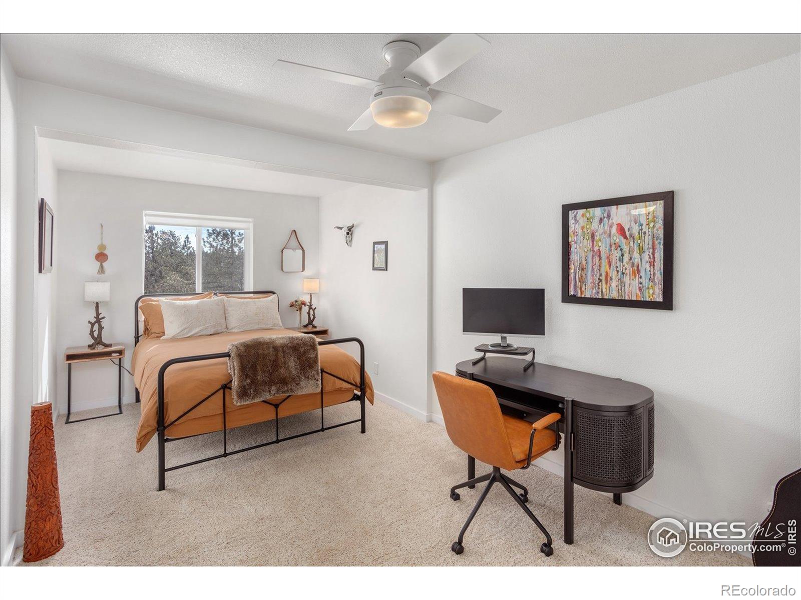 MLS Image #25 for 3367  badger creek road,hartsel, Colorado