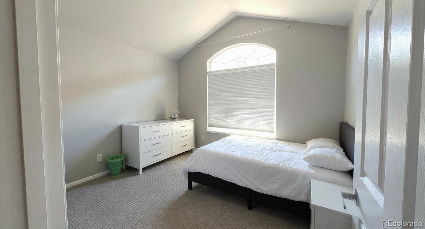 MLS Image #10 for 1254  carlyle park circle,highlands ranch, Colorado