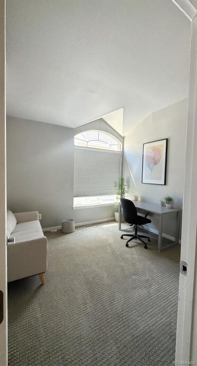 MLS Image #11 for 1254  carlyle park circle,highlands ranch, Colorado