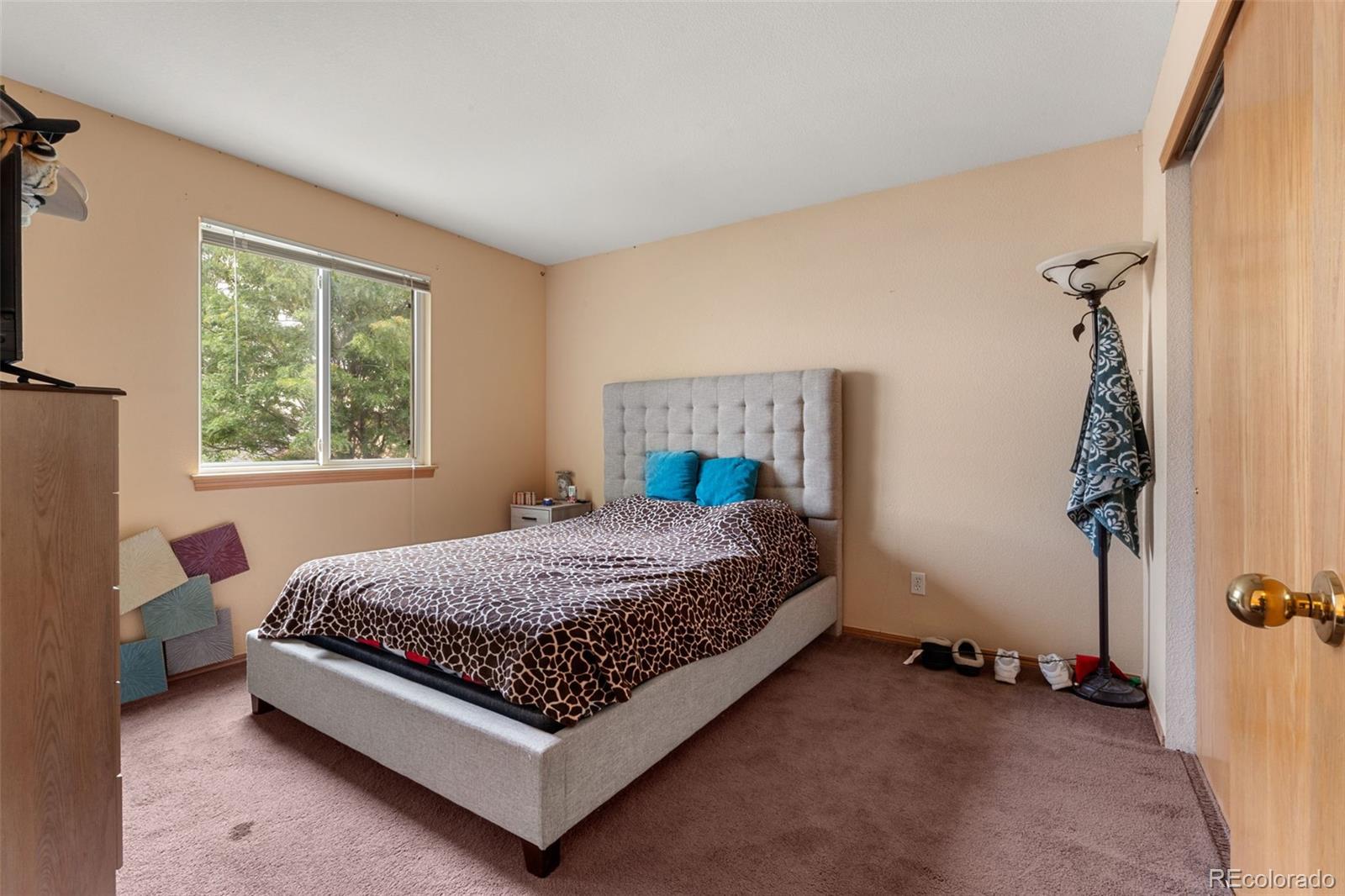 MLS Image #15 for 6291  snowberry avenue,firestone, Colorado