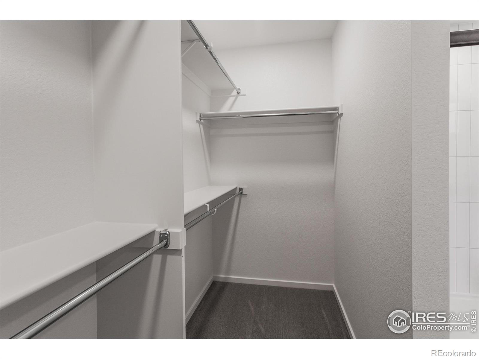 MLS Image #31 for 305  flourish lane,fort collins, Colorado