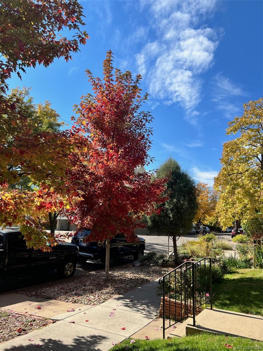 MLS Image #39 for 513 e 1st avenue,denver, Colorado