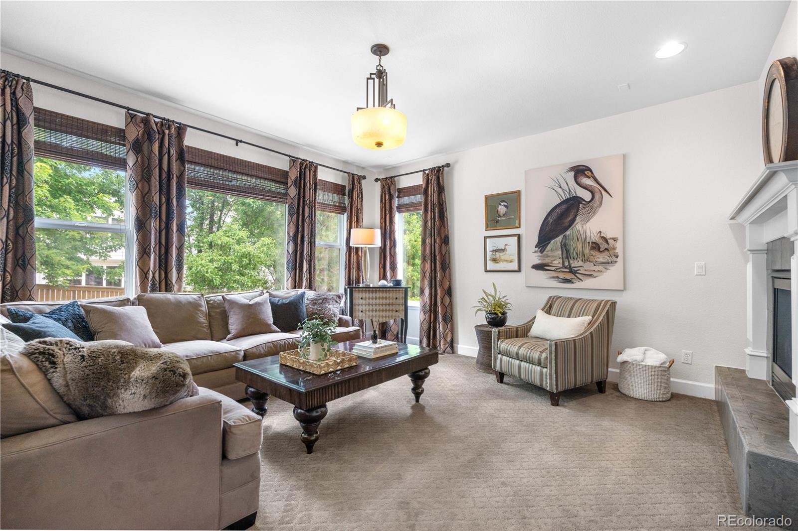 MLS Image #16 for 16207  cadland court,parker, Colorado