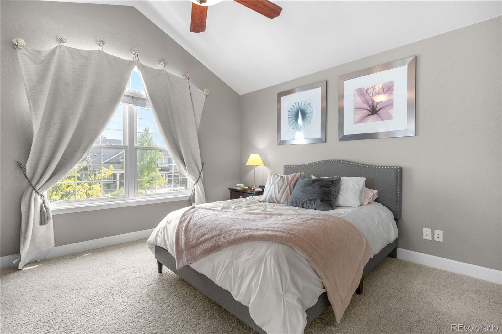 MLS Image #23 for 16207  cadland court,parker, Colorado