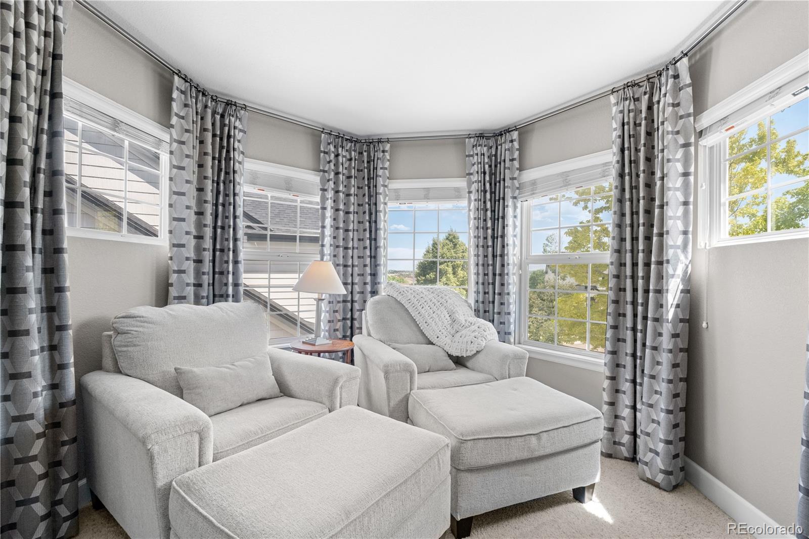 MLS Image #25 for 16207  cadland court,parker, Colorado