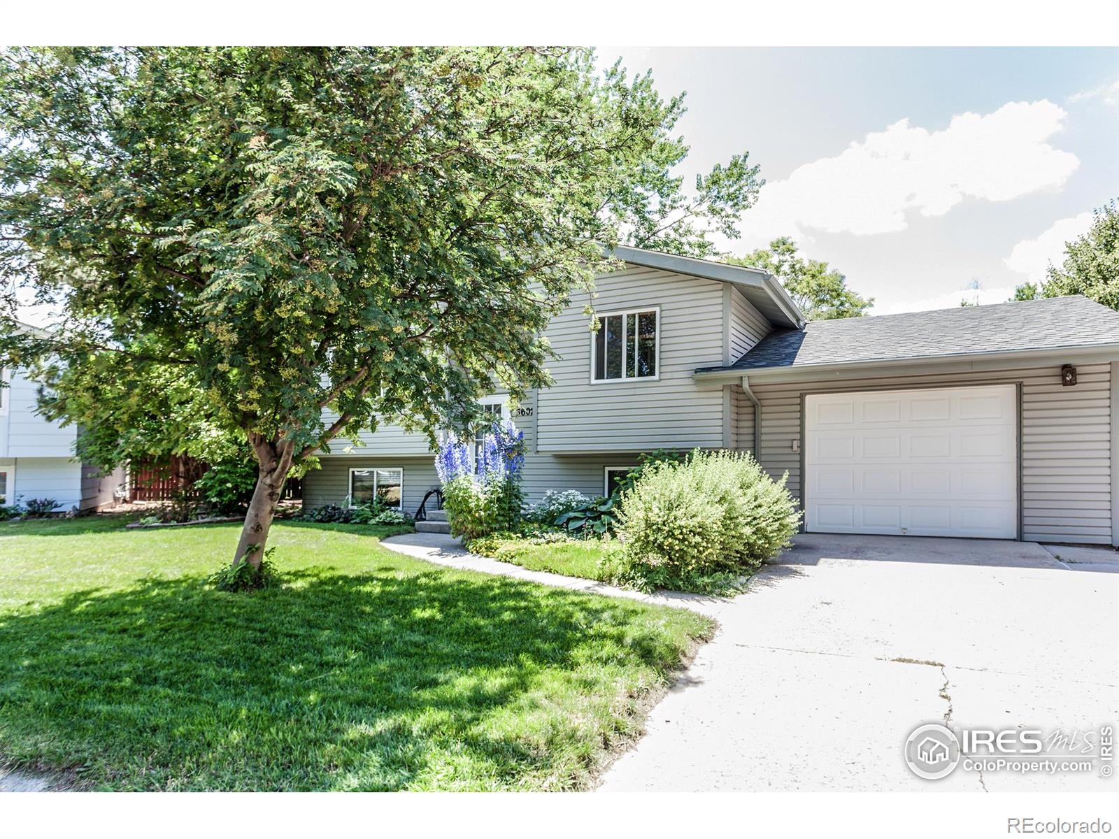 MLS Image #2 for 3602  post road,laporte, Colorado
