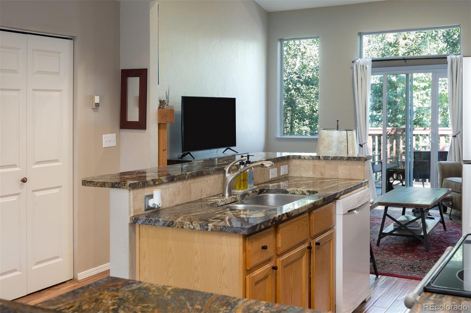 MLS Image #16 for 77  spyglass lane,silverthorne, Colorado