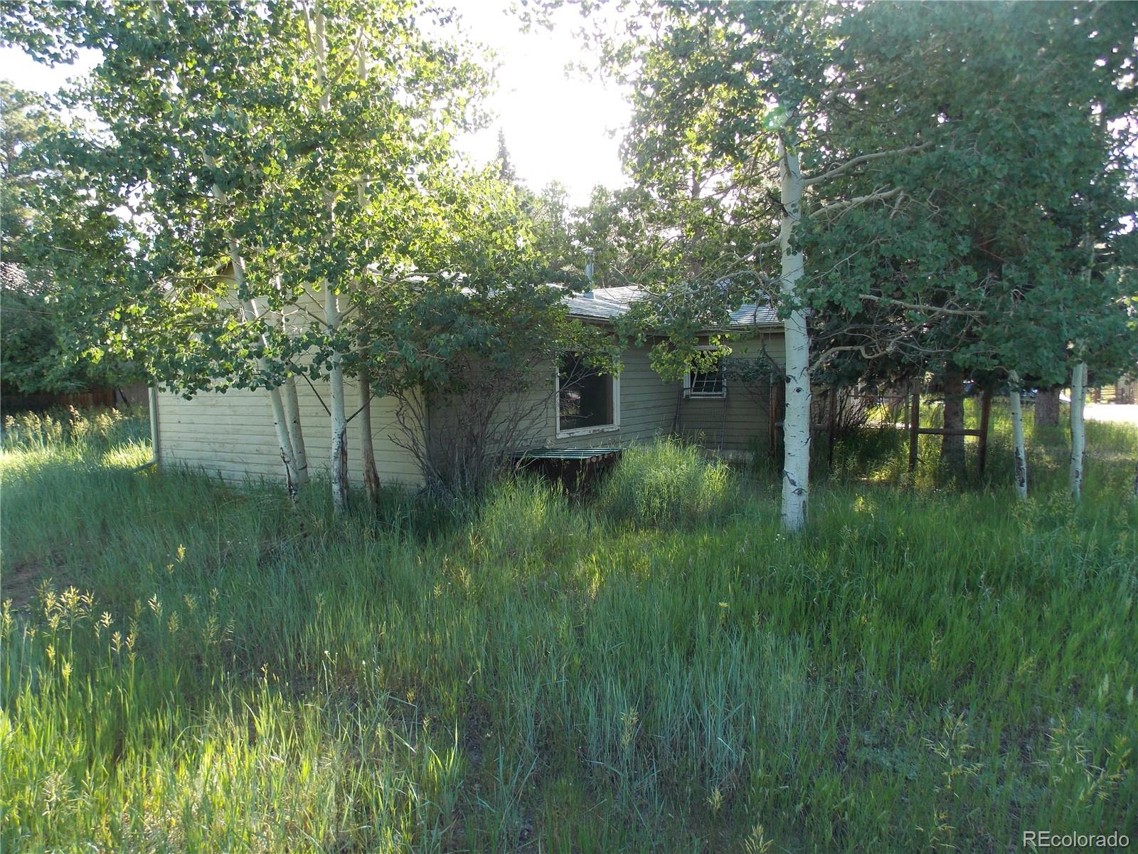 MLS Image #2 for 222 s fairview street,woodland park, Colorado