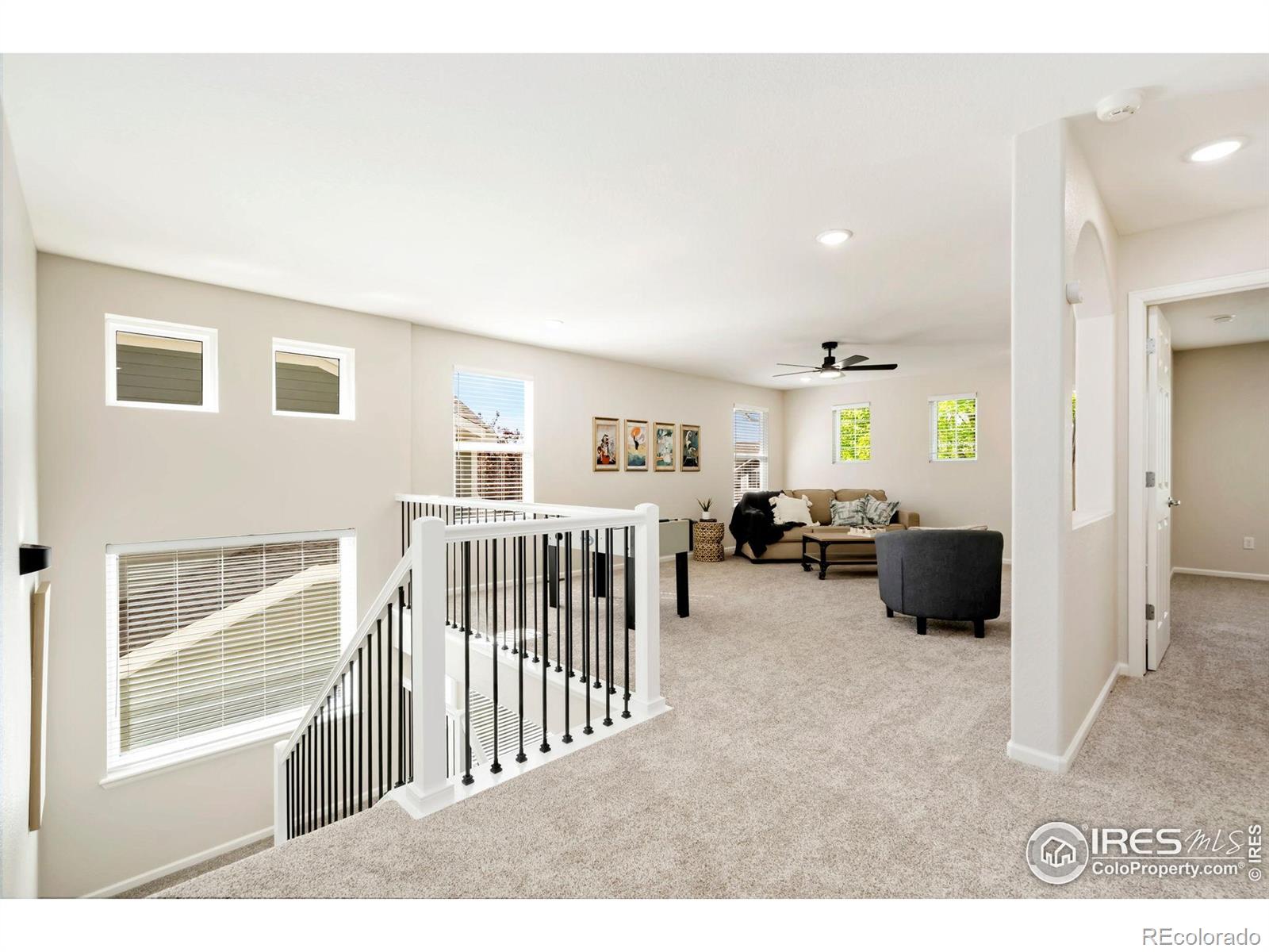 MLS Image #16 for 2262  harvest street,fort collins, Colorado