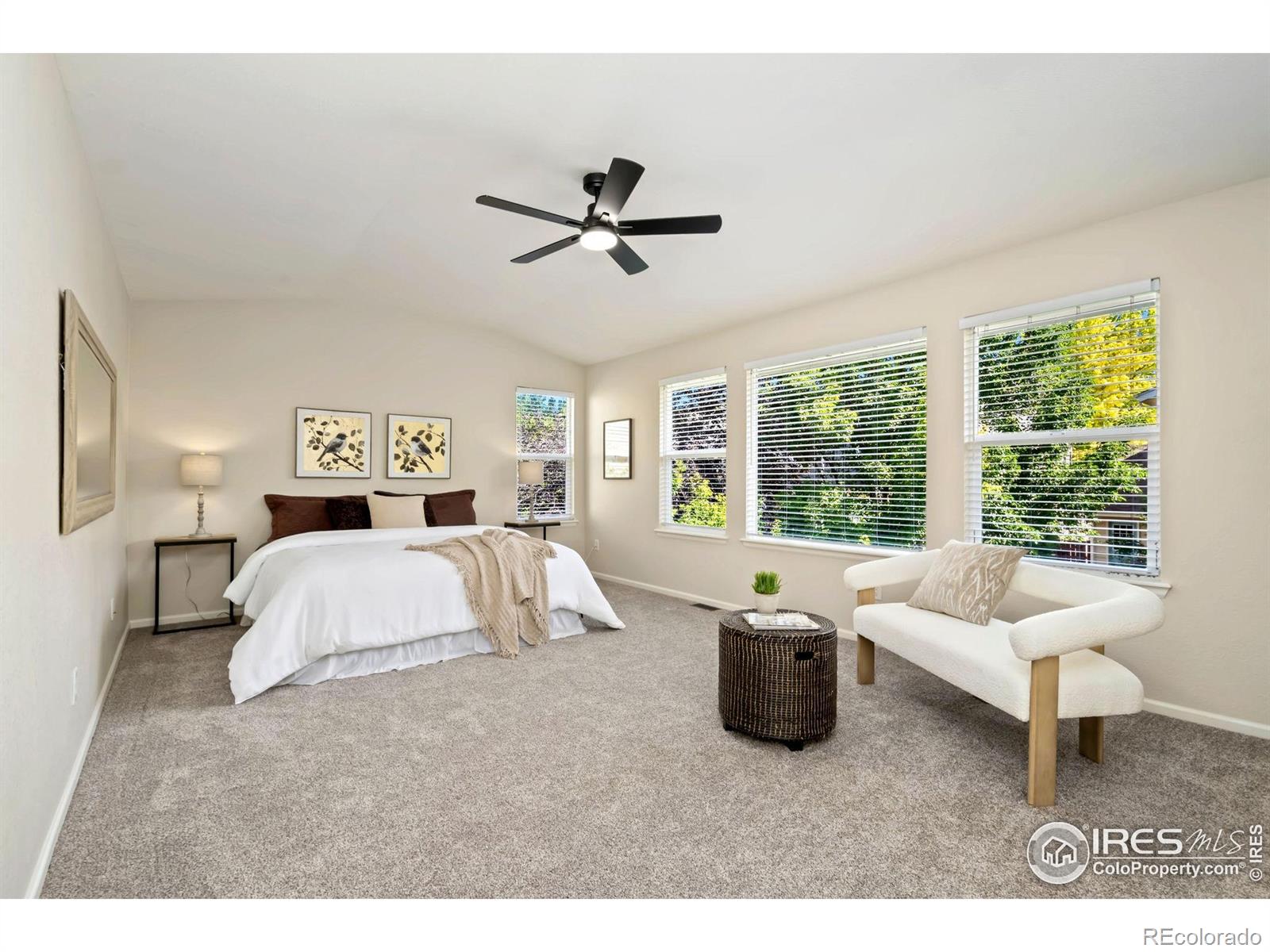 MLS Image #20 for 2262  harvest street,fort collins, Colorado