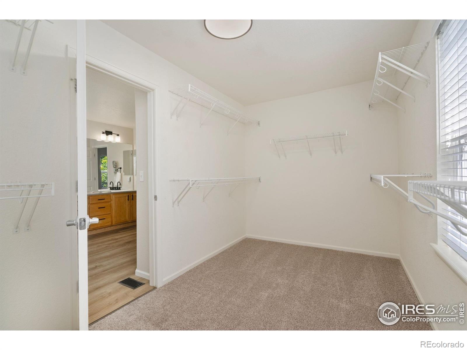 MLS Image #23 for 2262  harvest street,fort collins, Colorado