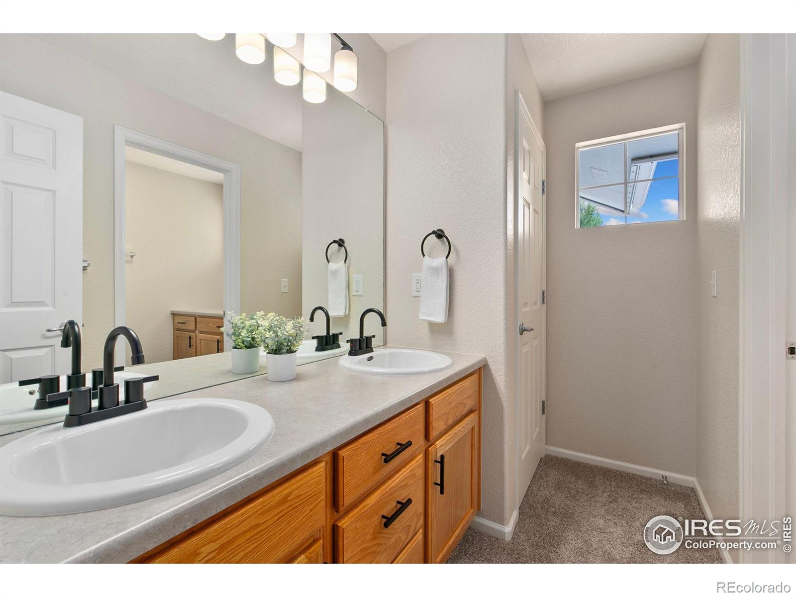 MLS Image #25 for 2262  harvest street,fort collins, Colorado