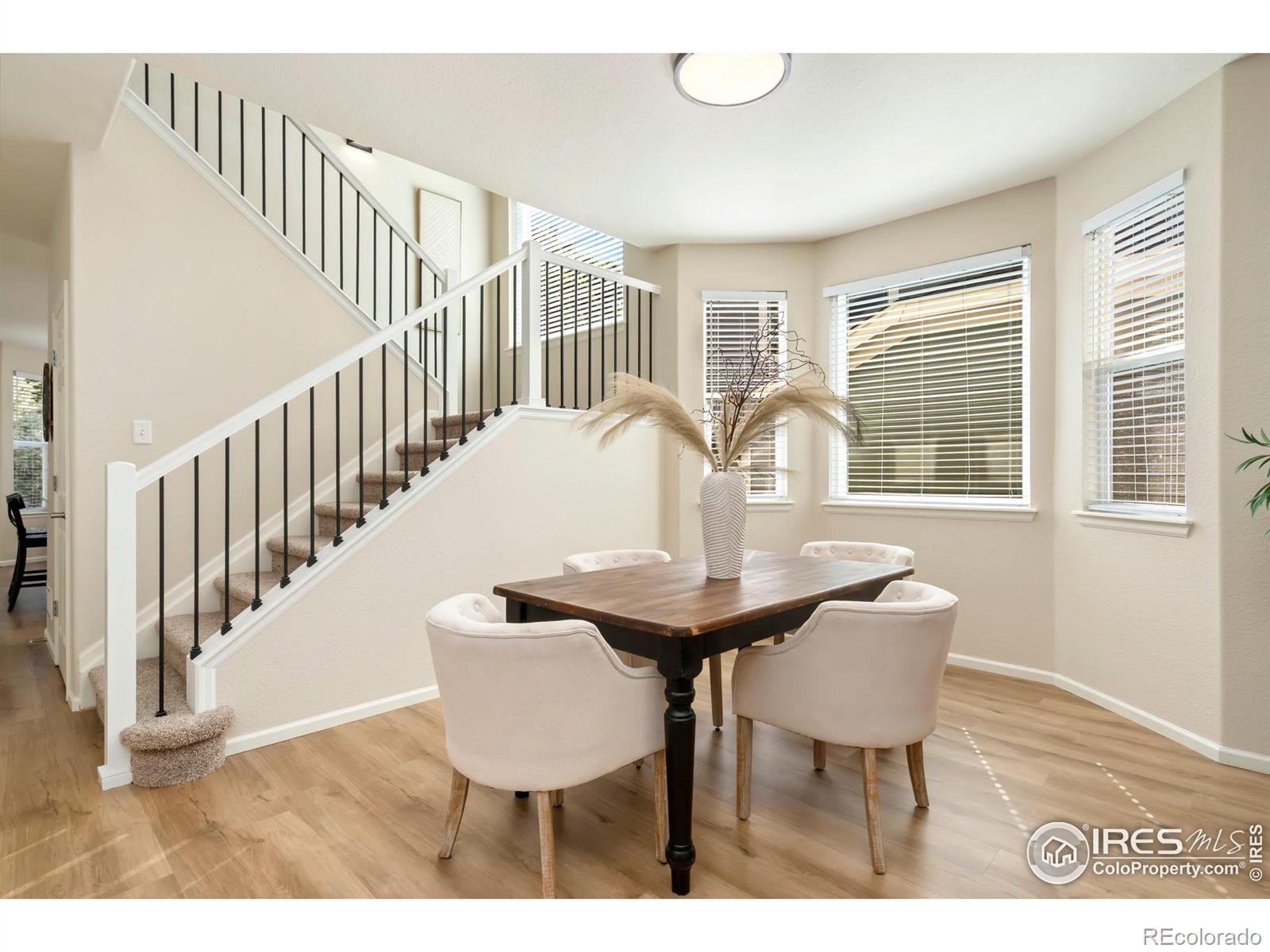MLS Image #5 for 2262  harvest street,fort collins, Colorado