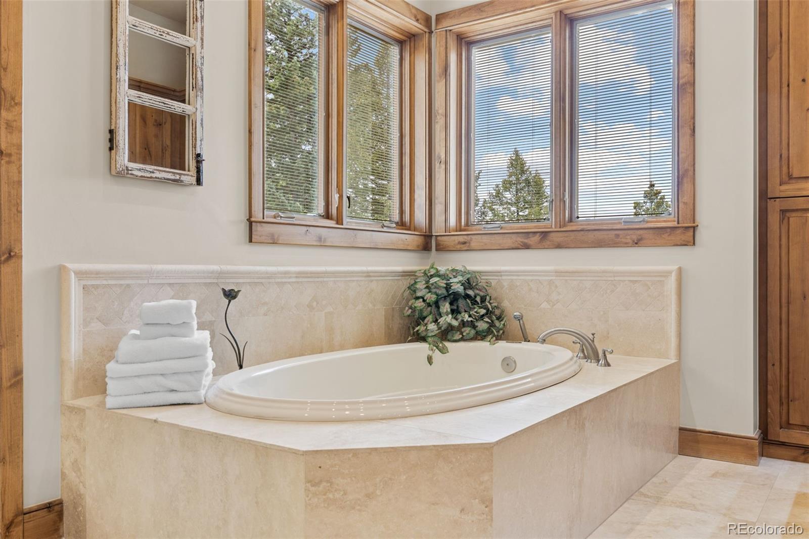 MLS Image #15 for 26887  evergreen springs road,evergreen, Colorado