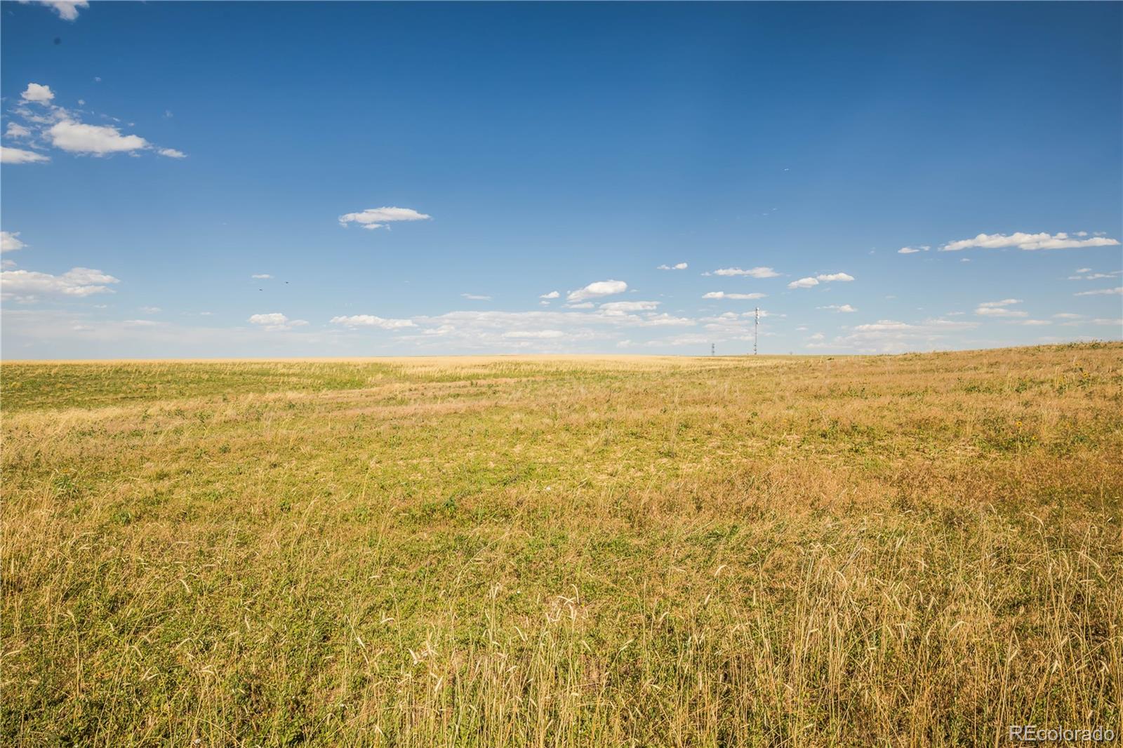 MLS Image #33 for 13880  cavanaugh road,hudson, Colorado