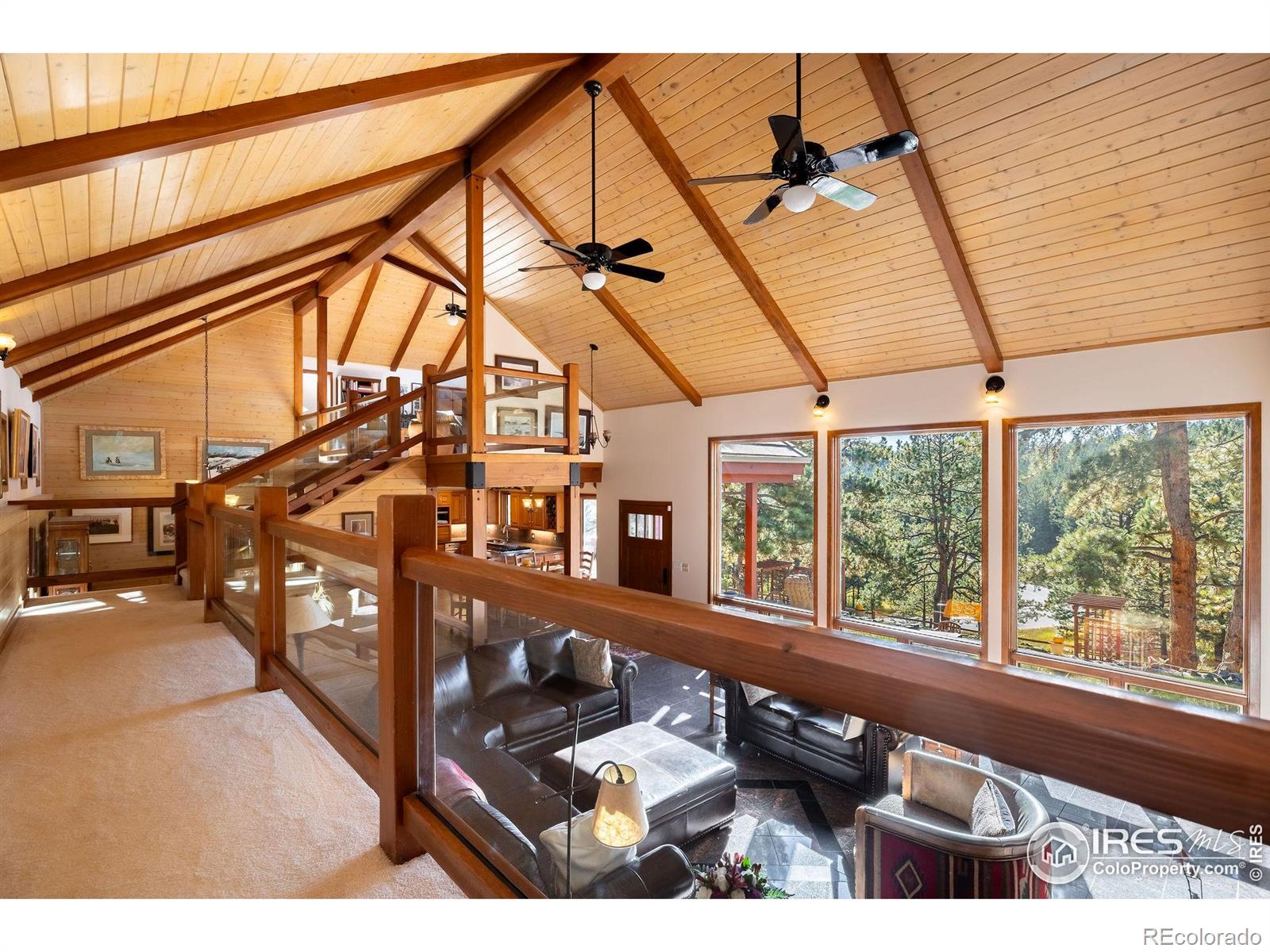 MLS Image #11 for 33212  meadow mountain road,evergreen, Colorado