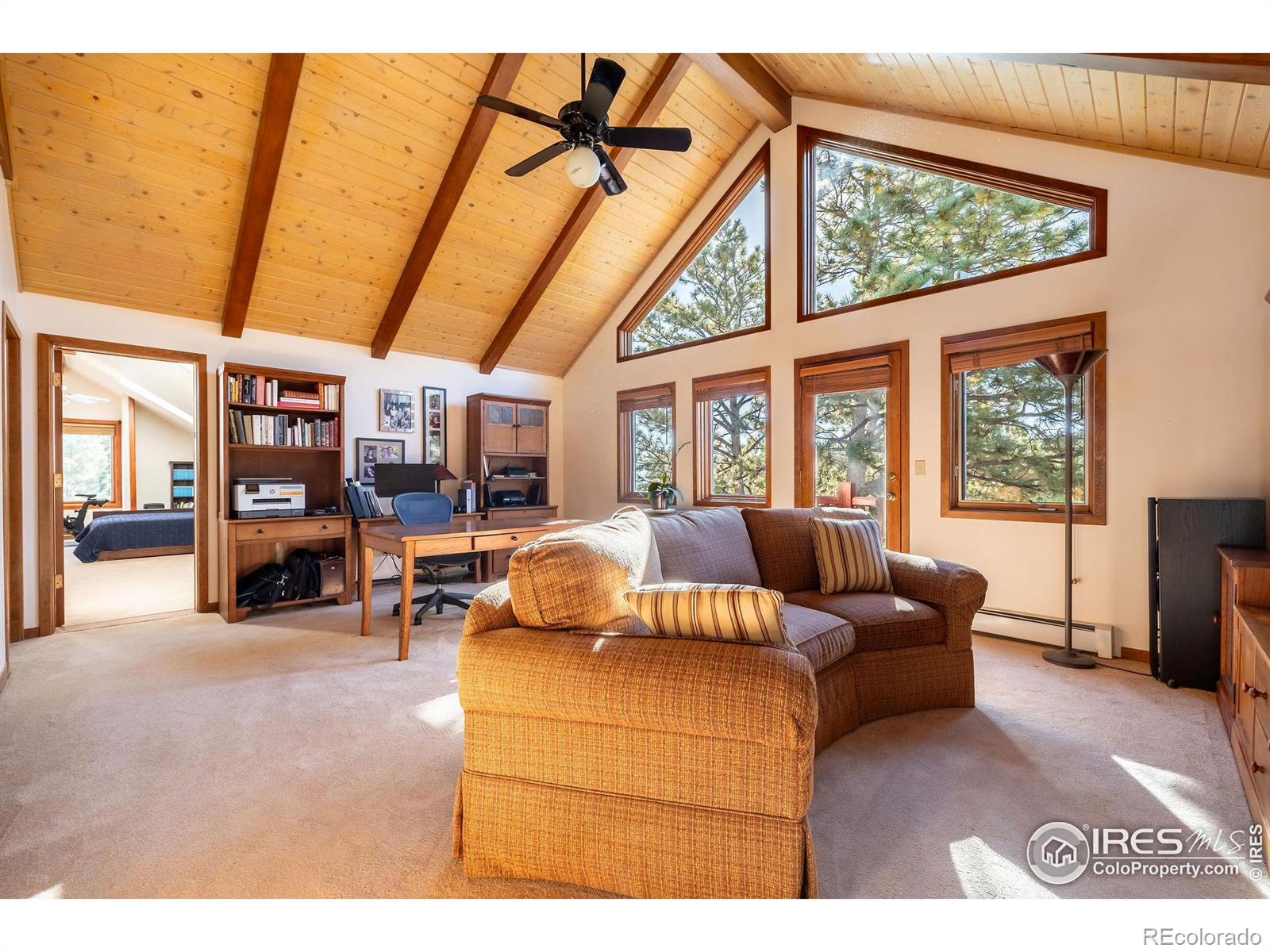 MLS Image #12 for 33212  meadow mountain road,evergreen, Colorado