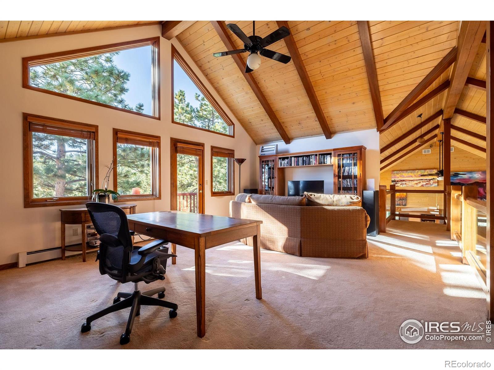 MLS Image #13 for 33212  meadow mountain road,evergreen, Colorado