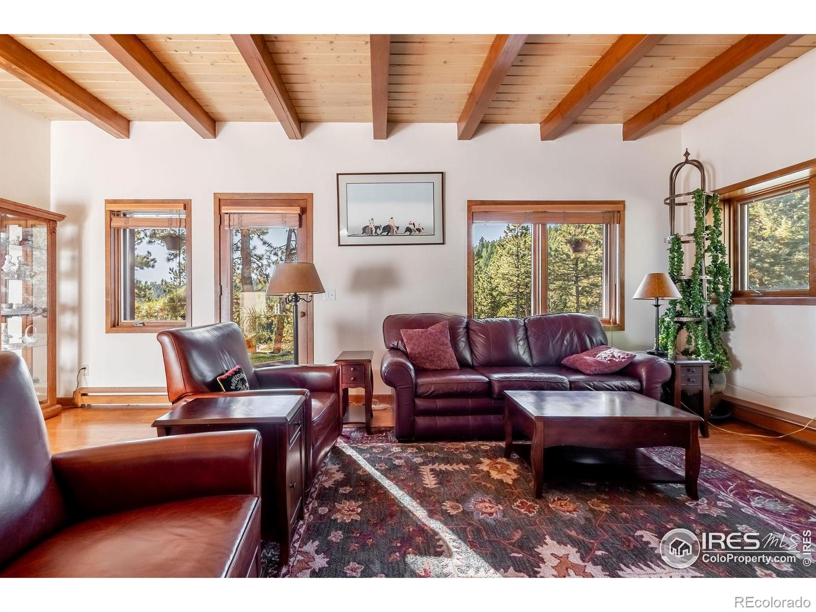 MLS Image #5 for 33212  meadow mountain road,evergreen, Colorado