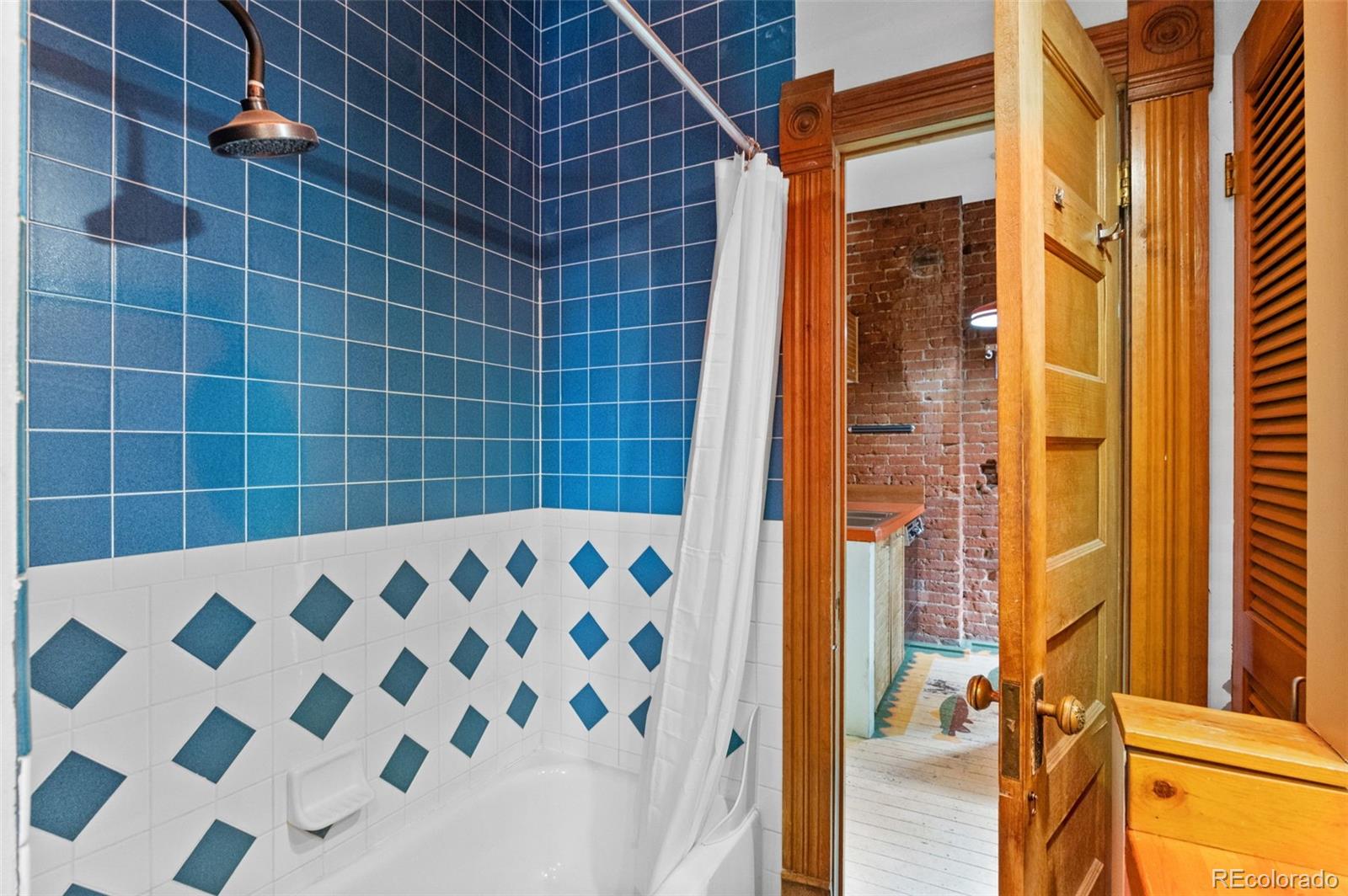 MLS Image #17 for 1629 n downing street,denver, Colorado