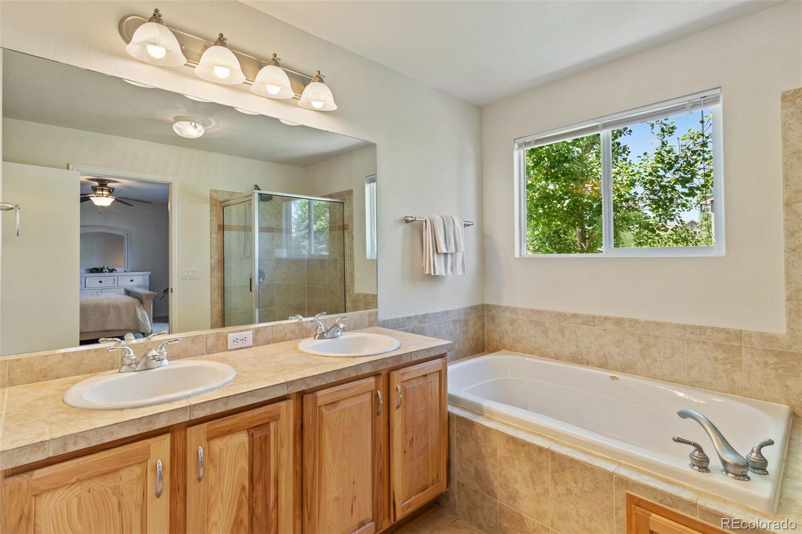 MLS Image #19 for 4143  eagle ridge way,castle rock, Colorado
