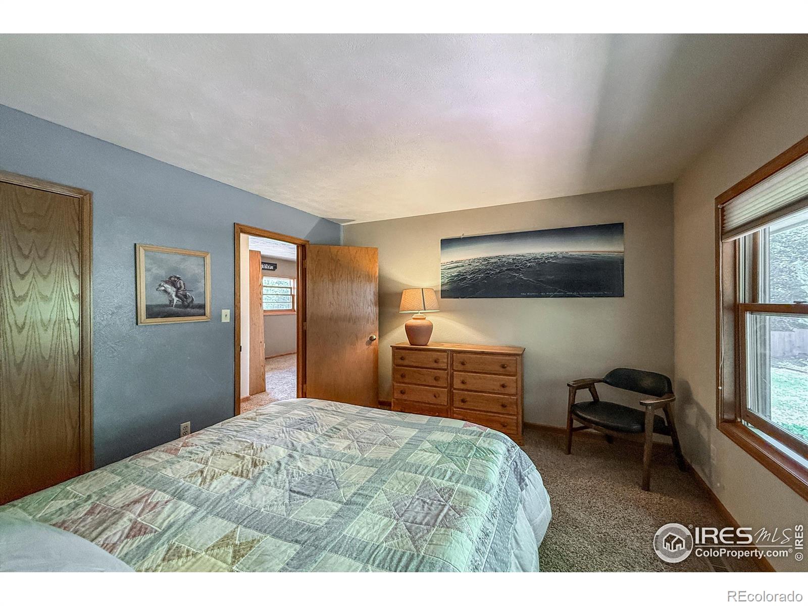 MLS Image #22 for 1943  etton drive,fort collins, Colorado