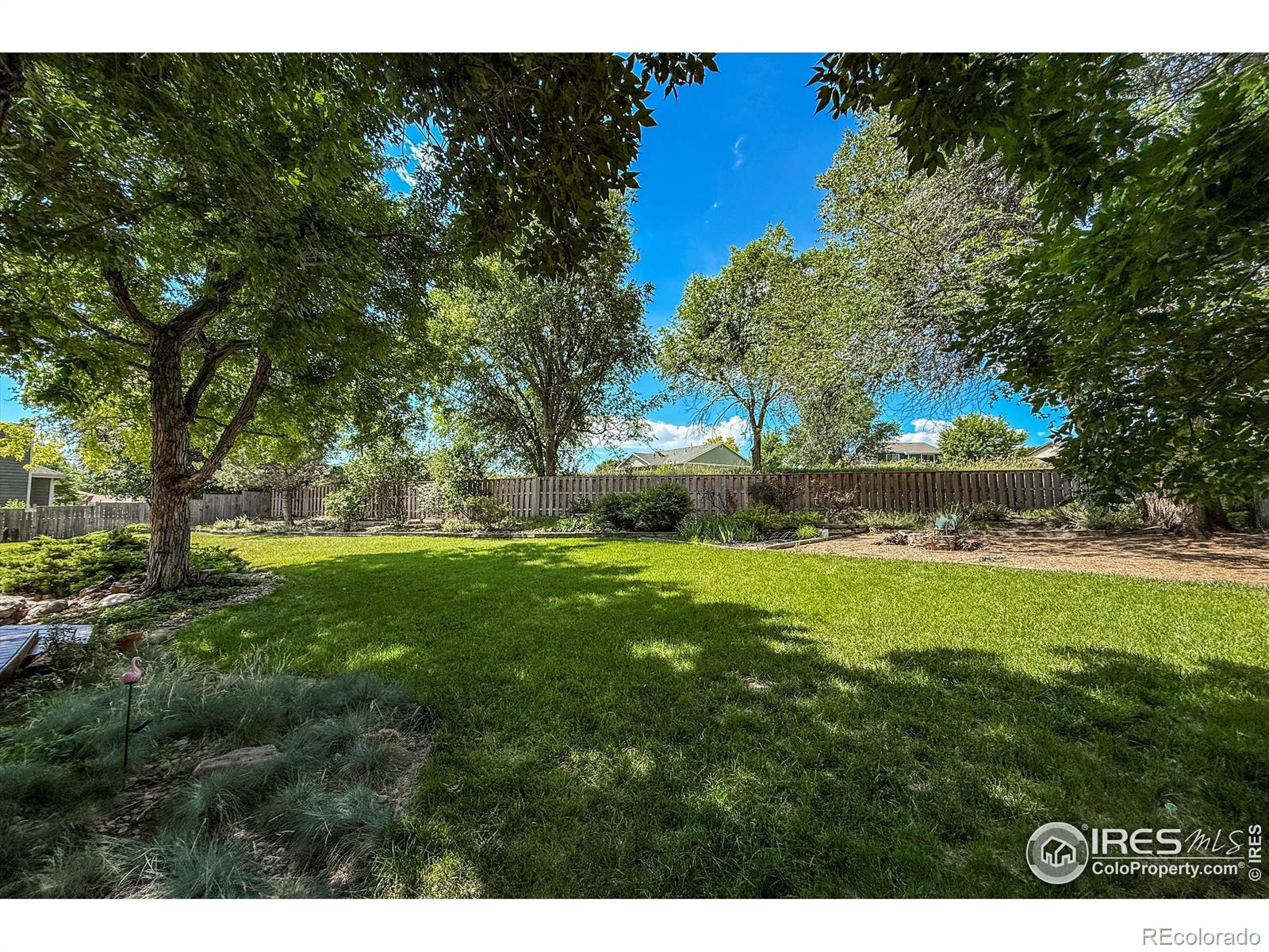 MLS Image #34 for 1943  etton drive,fort collins, Colorado