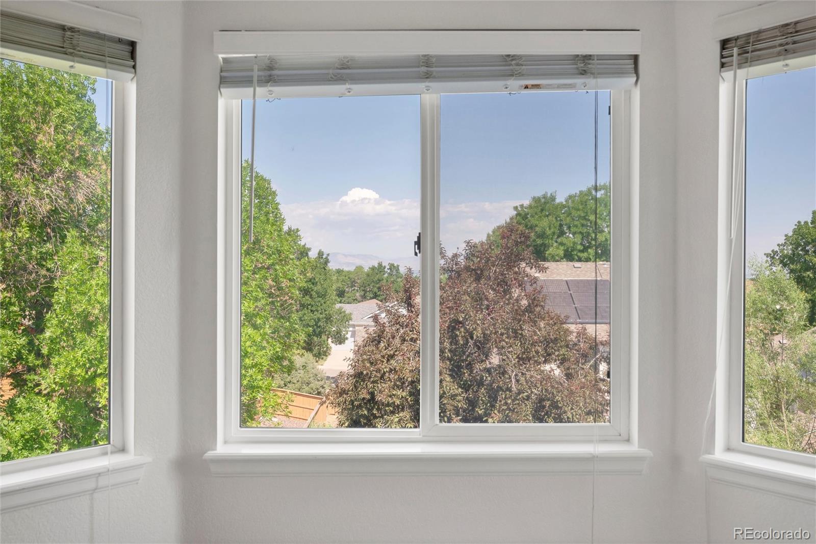 MLS Image #25 for 985  english sparrow trail,highlands ranch, Colorado