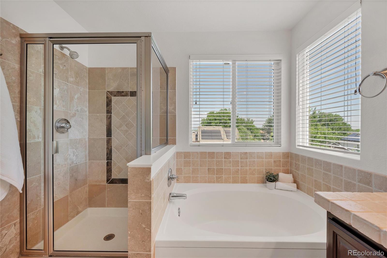 MLS Image #26 for 985  english sparrow trail,highlands ranch, Colorado