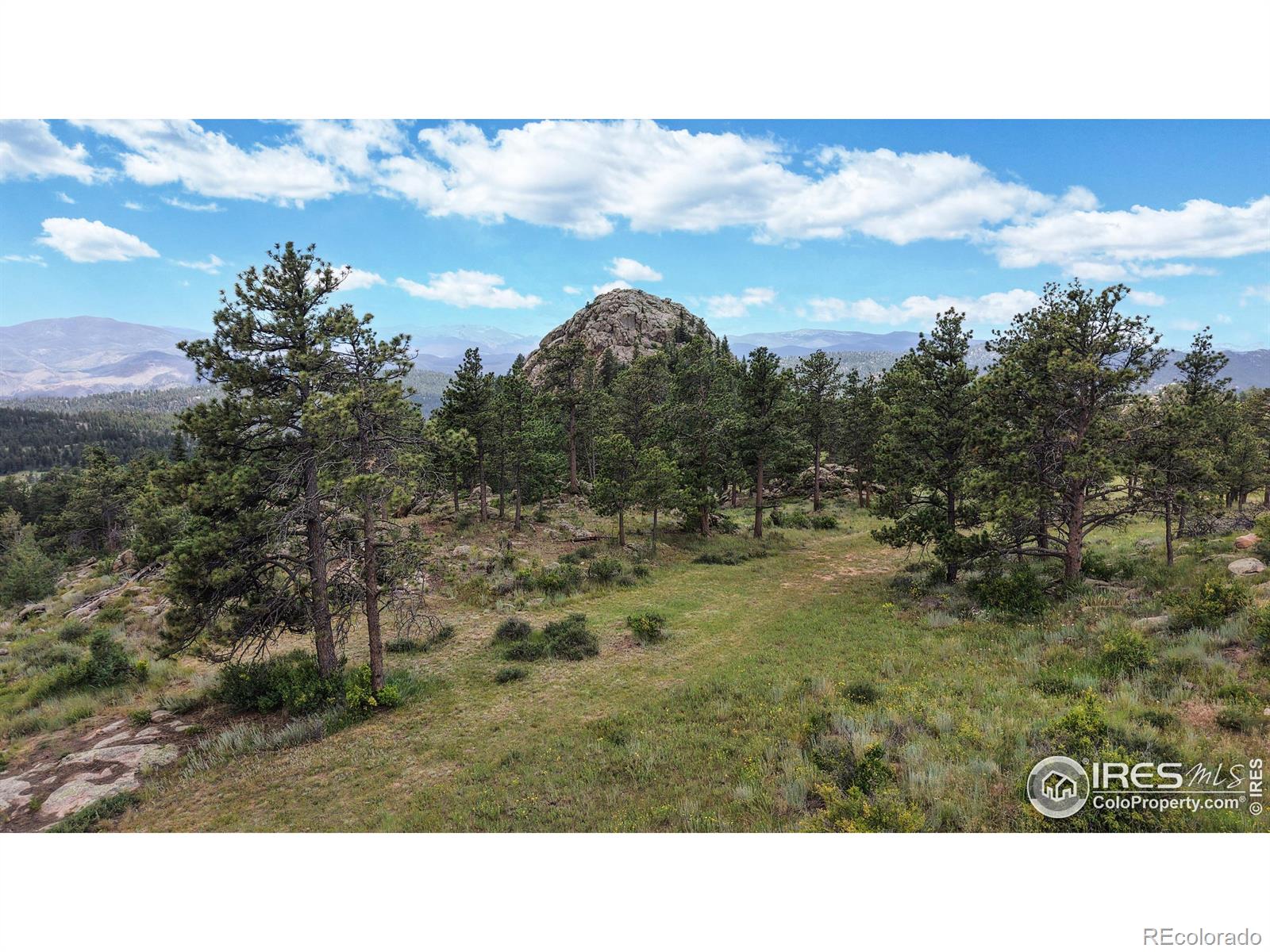 MLS Image #34 for 131  mount apiatan court,livermore, Colorado