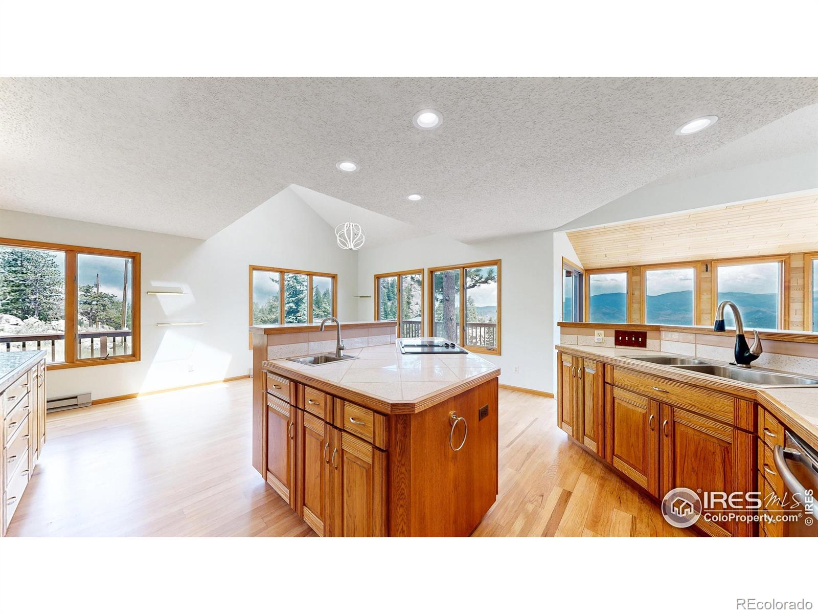 MLS Image #8 for 131  mount apiatan court,livermore, Colorado
