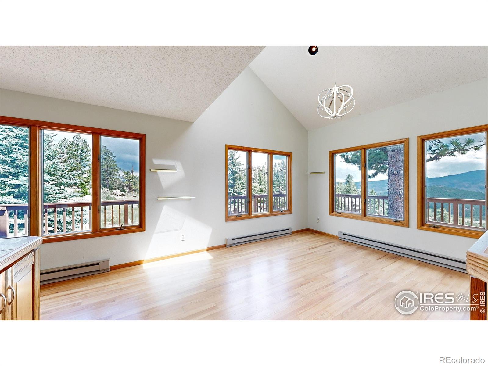MLS Image #9 for 131  mount apiatan court,livermore, Colorado