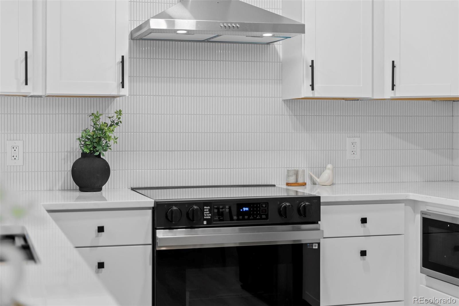 MLS Image #10 for 3036  wolff street,denver, Colorado