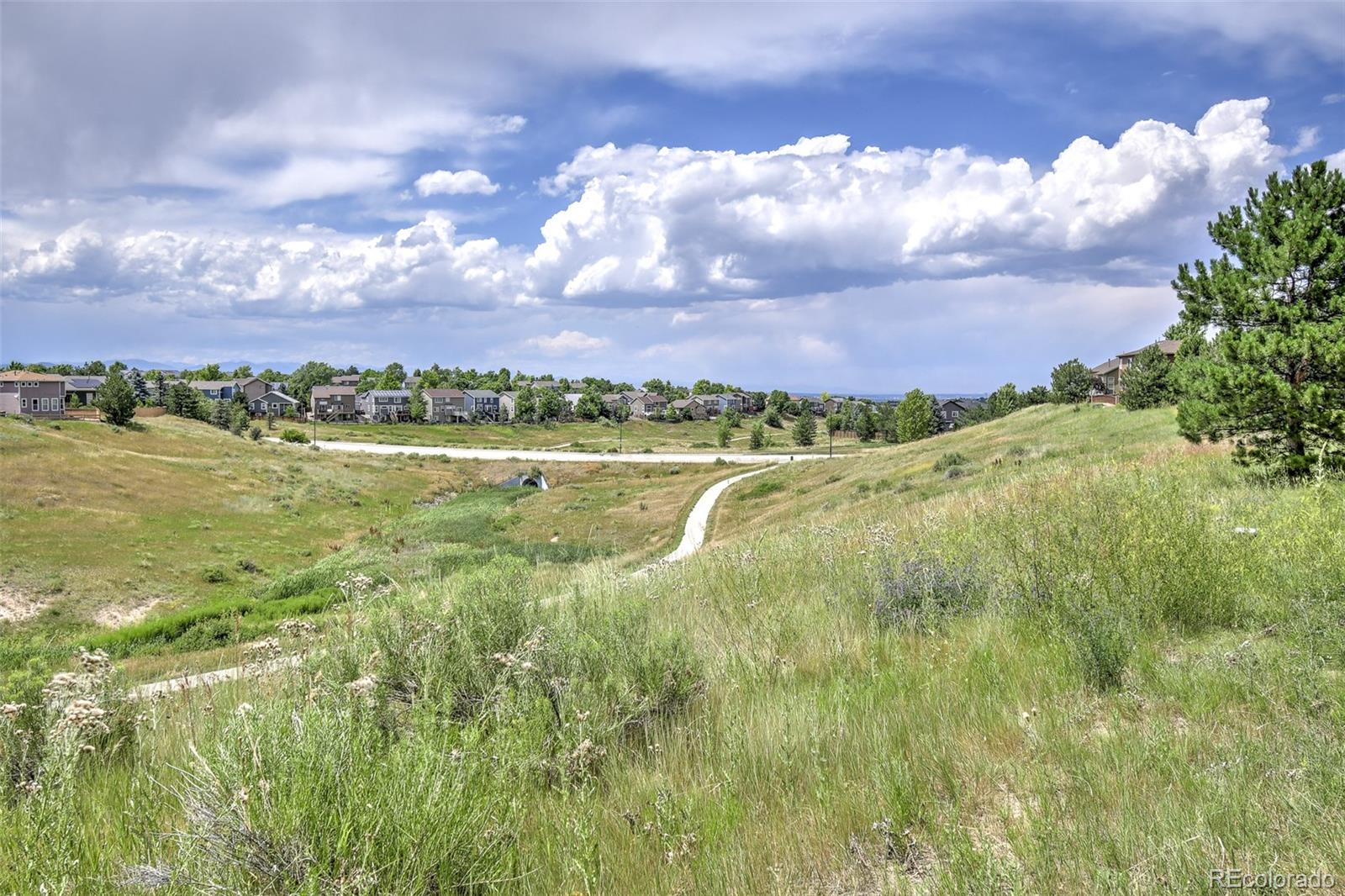 MLS Image #25 for 10597  ashfield street,highlands ranch, Colorado