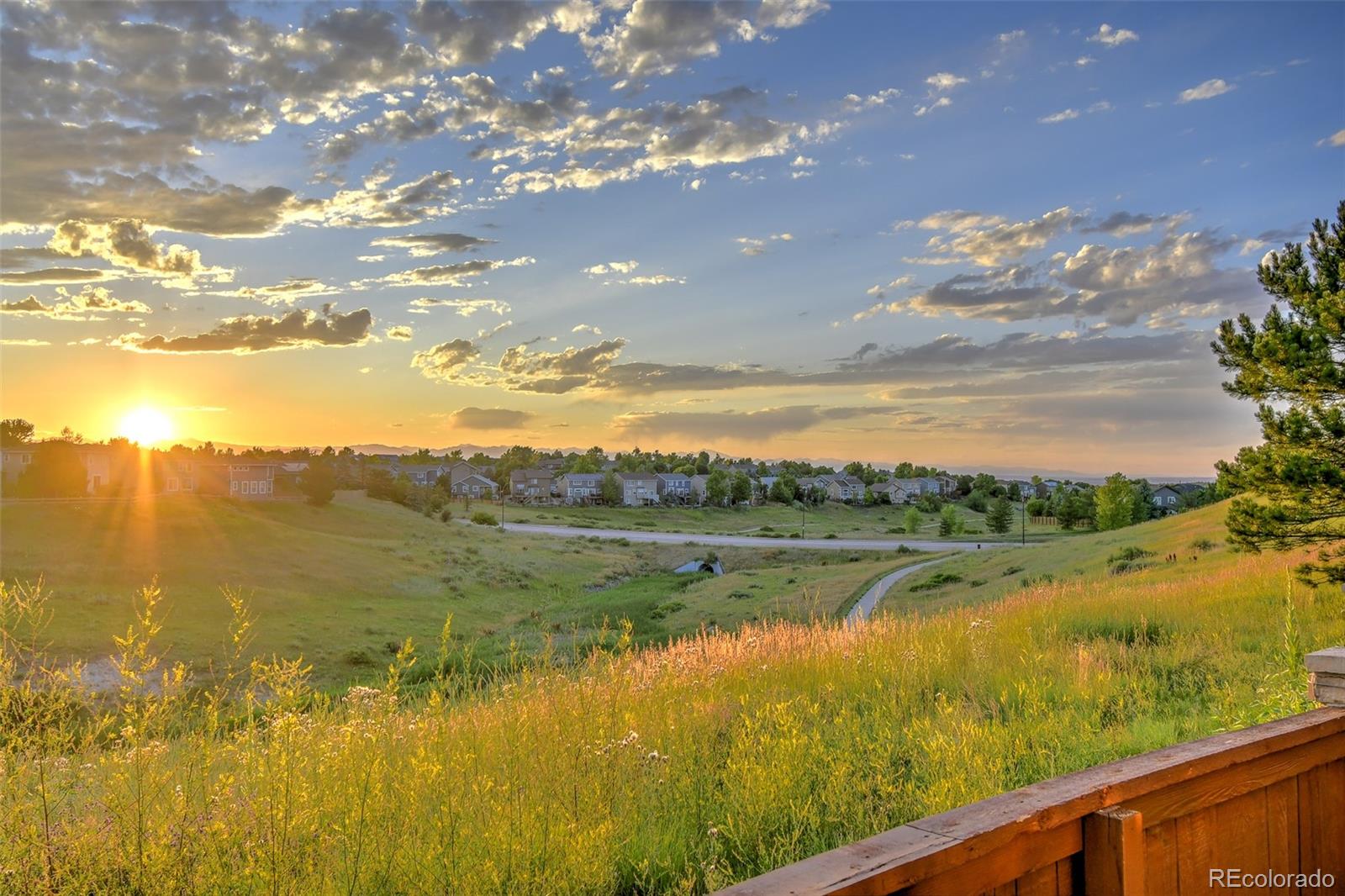 MLS Image #26 for 10597  ashfield street,highlands ranch, Colorado