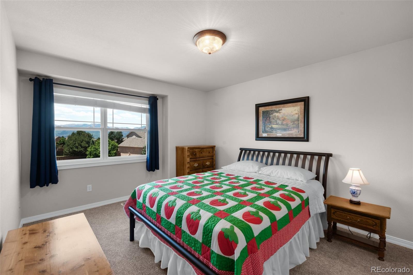 MLS Image #26 for 10643  black kettle way,colorado springs, Colorado