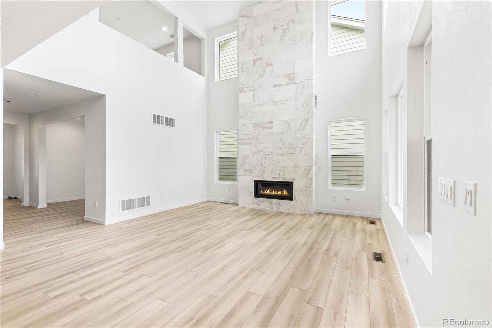 MLS Image #7 for 8850  moonshimmer trail,littleton, Colorado