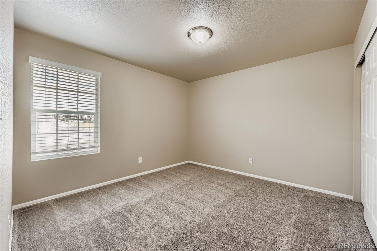 MLS Image #20 for 5841  echo park circle,castle rock, Colorado