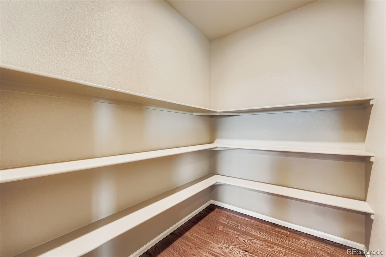 MLS Image #25 for 5841  echo park circle,castle rock, Colorado