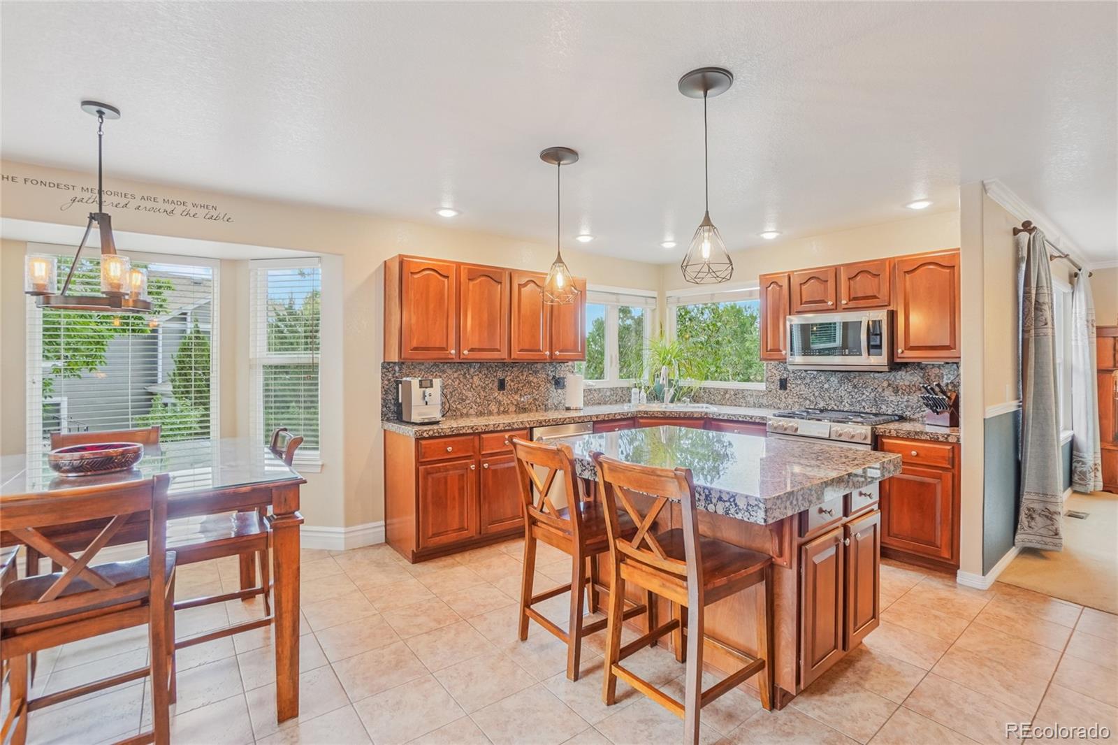 MLS Image #9 for 16071  crestrock circle,parker, Colorado