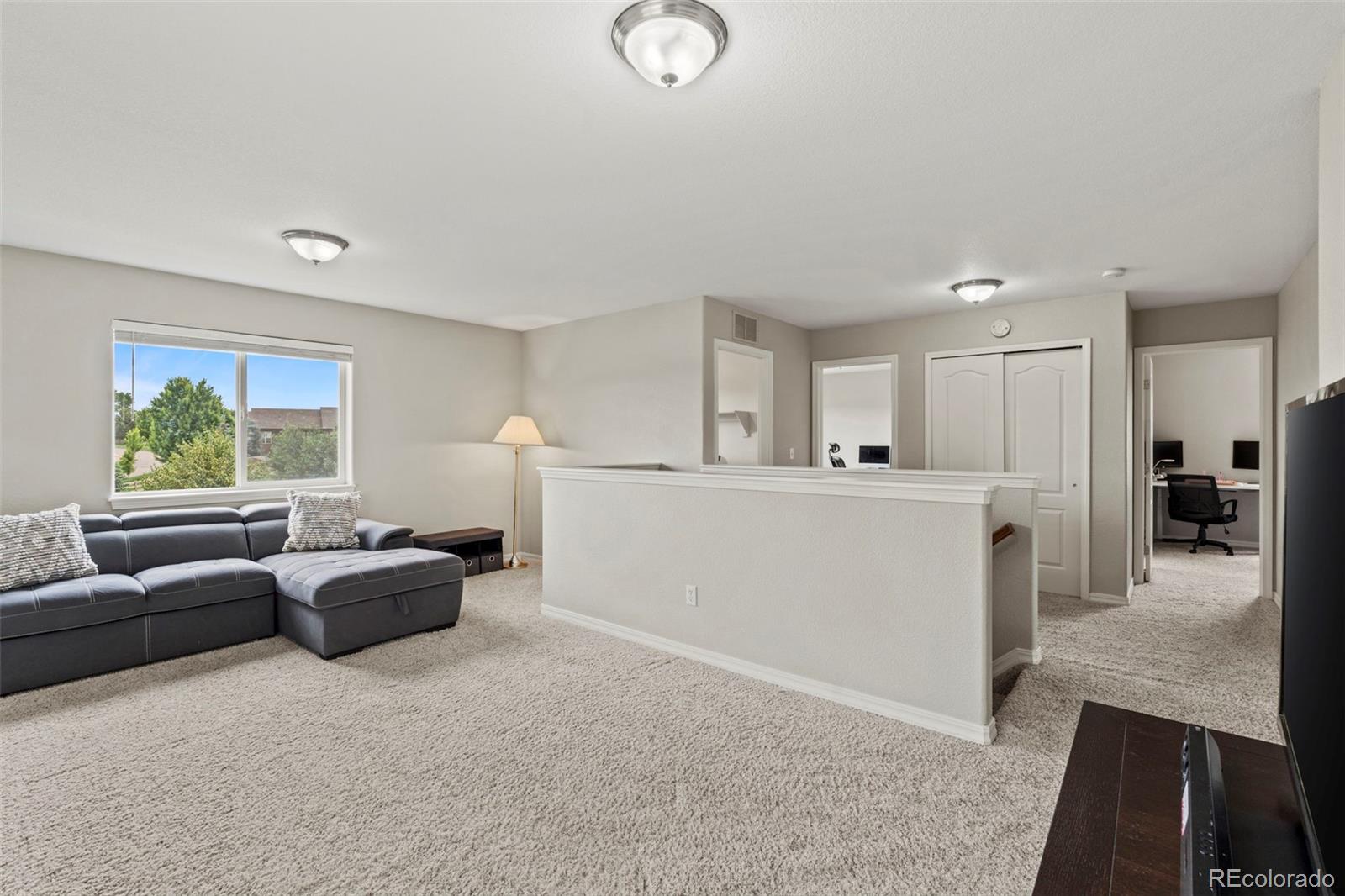 MLS Image #20 for 7525  stetson highlands drive,colorado springs, Colorado
