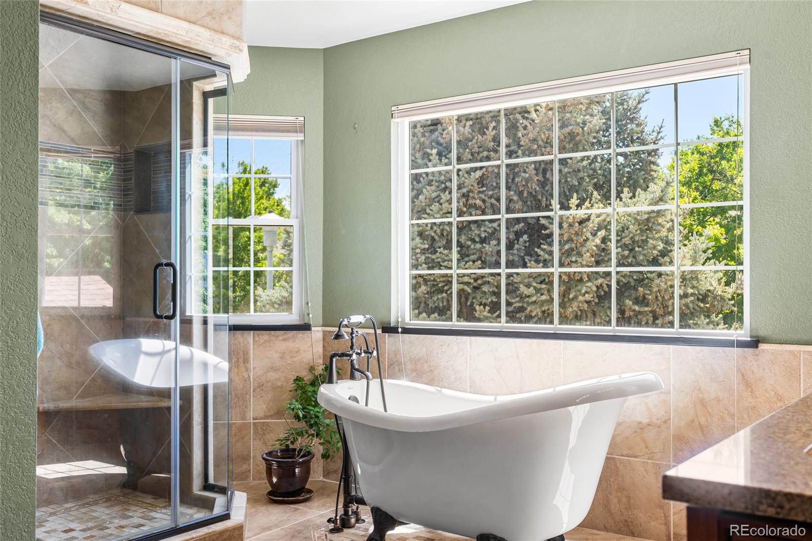MLS Image #20 for 6858  otis court,arvada, Colorado