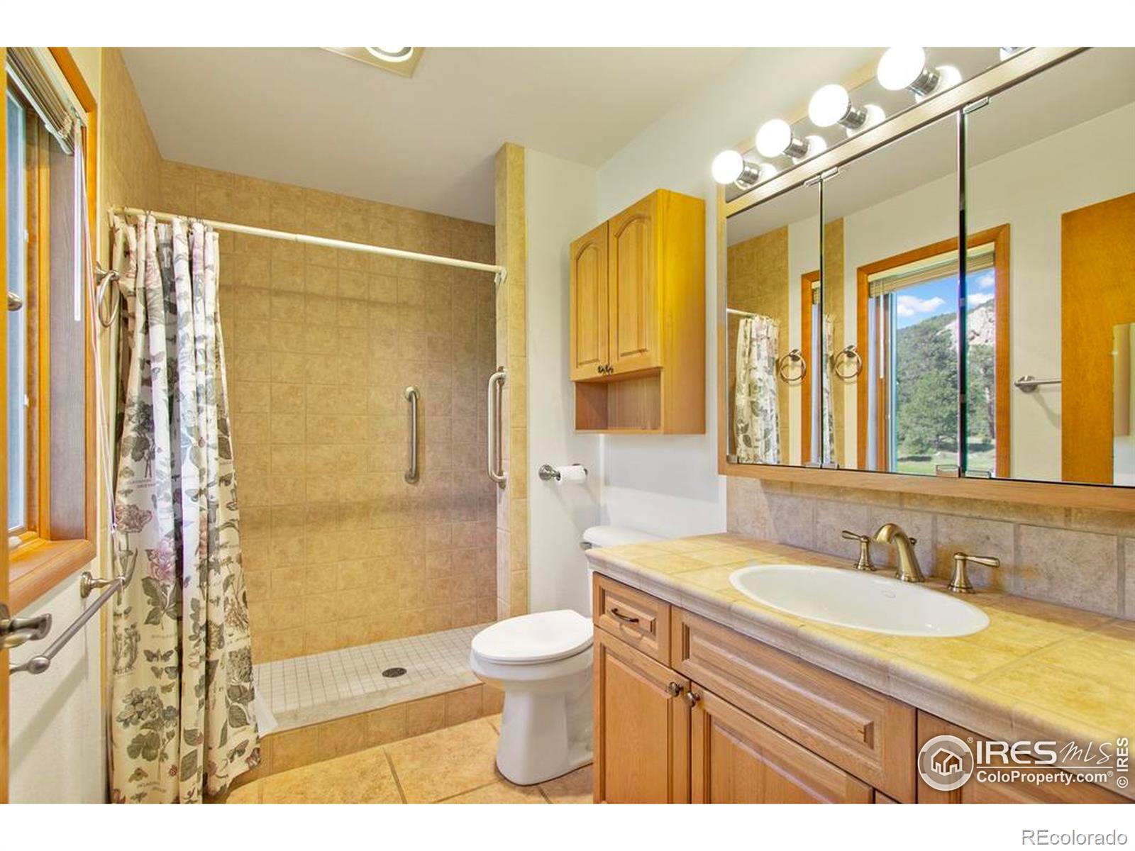 MLS Image #21 for 2160  devils gulch road,estes park, Colorado