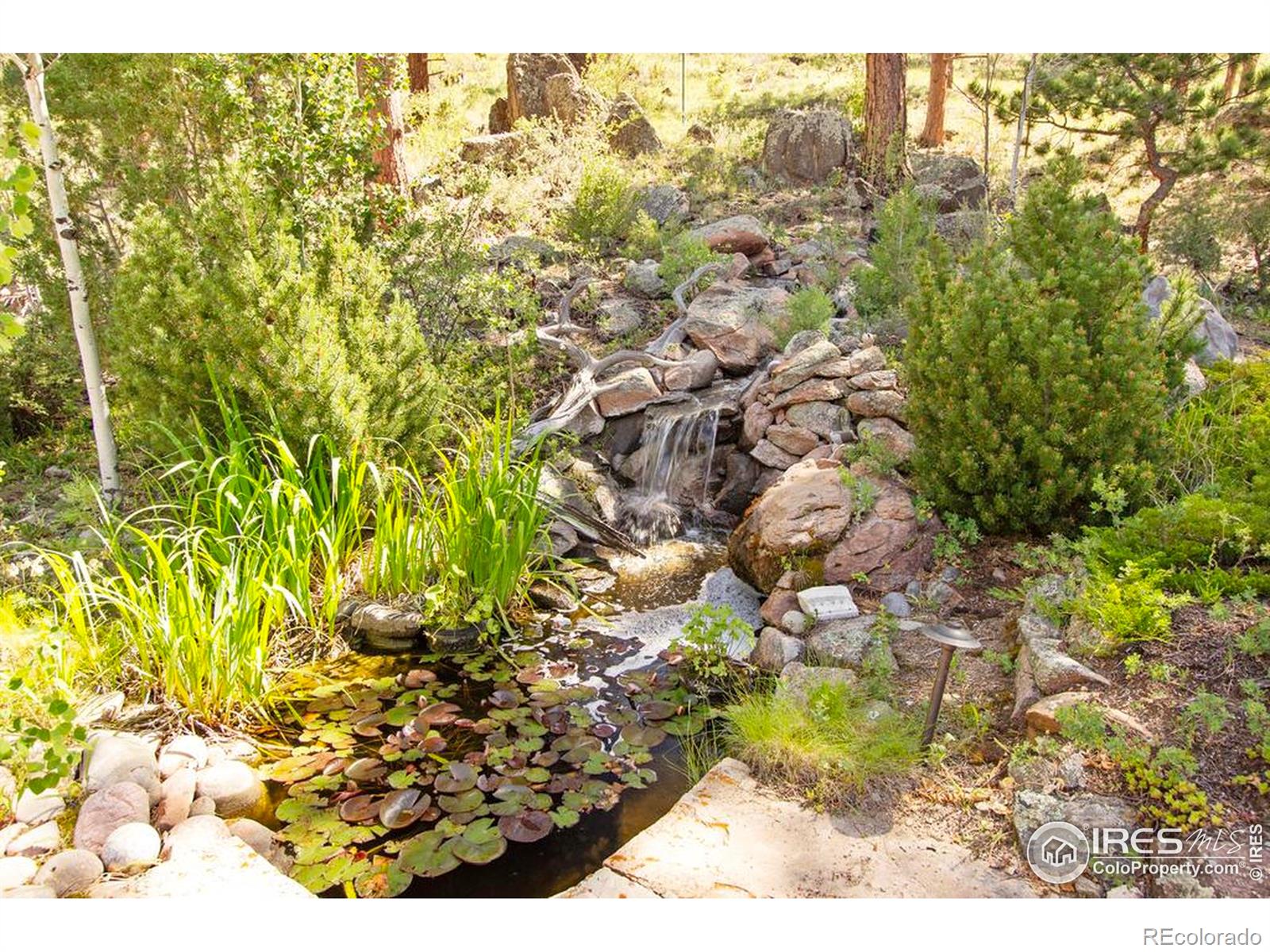 MLS Image #33 for 2160  devils gulch road,estes park, Colorado