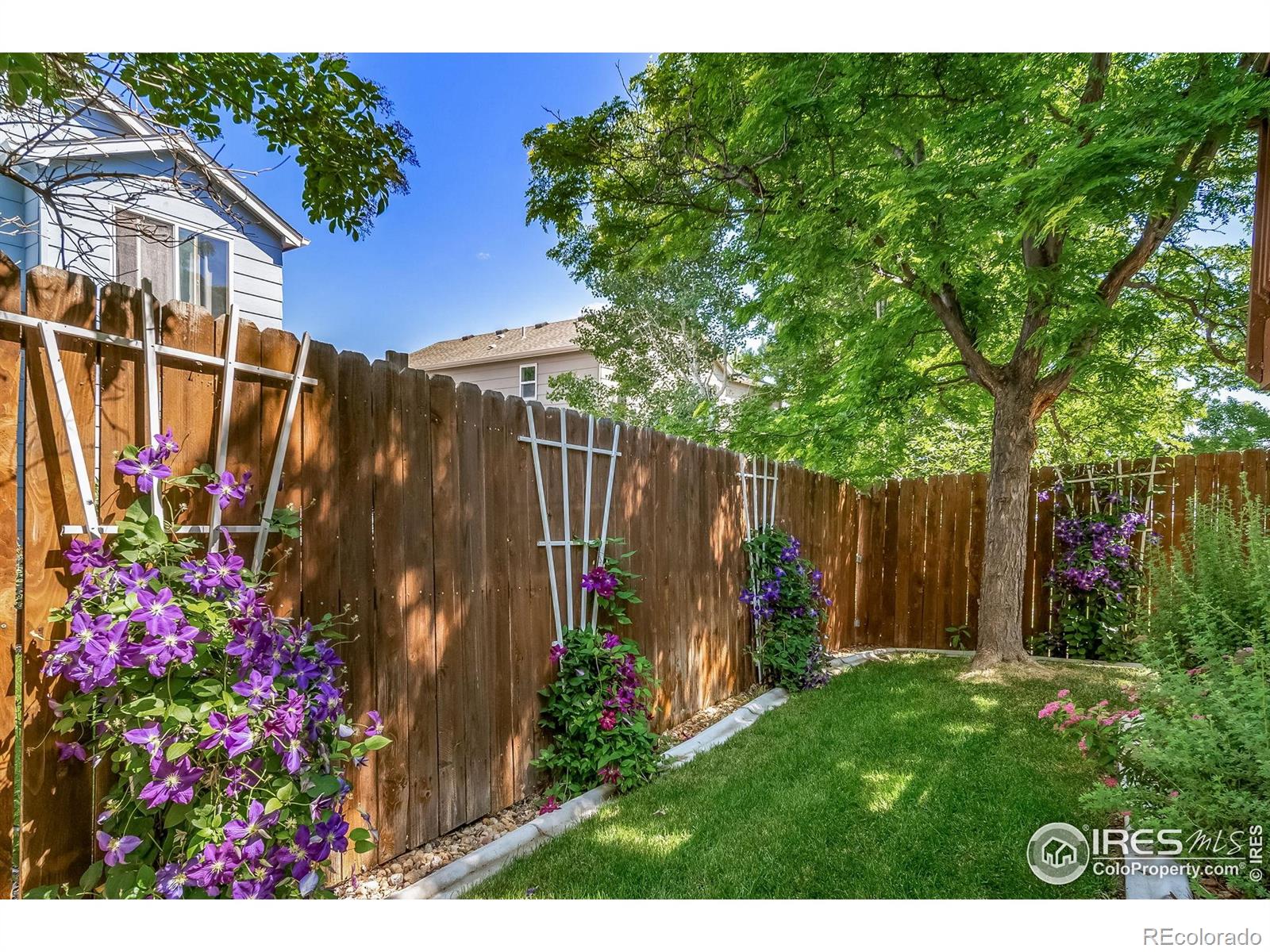 MLS Image #38 for 1529  aster court,superior, Colorado