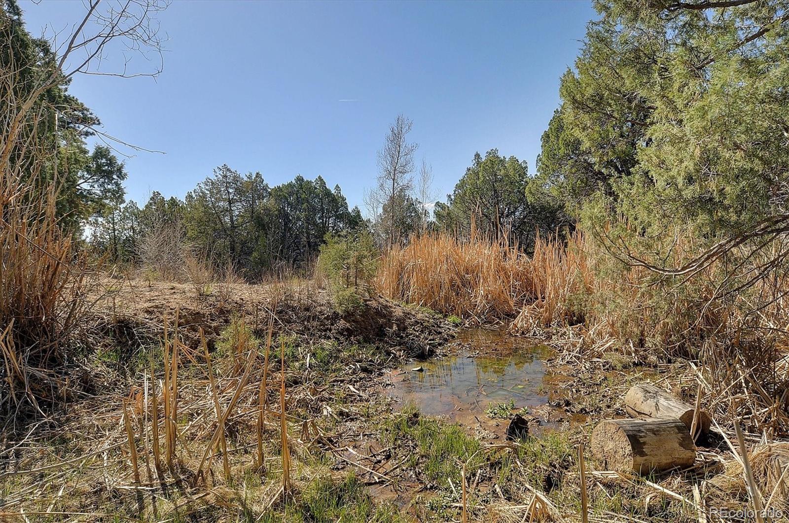 MLS Image #48 for 12500  county road 258a ,salida, Colorado